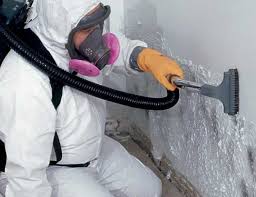 Best Biohazard Mold Removal  in Parkland, FL